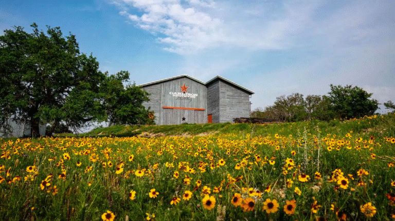 A Local's Guide to charming Fredericksburg, Texas screen shot 2025 11 22 at 8.12.35 am