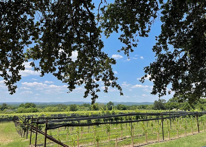 A Local's Guide to charming Fredericksburg, Texas wine