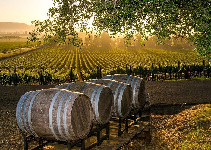 A Local's Guide to charming Fredericksburg, Texas wine3